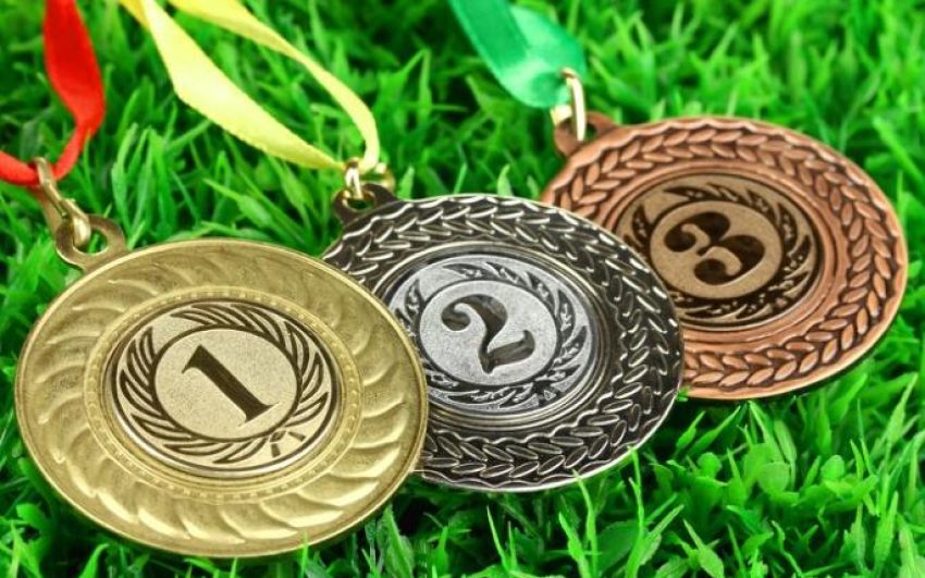 Итоги рейтинга прогнозистов ММА 2017