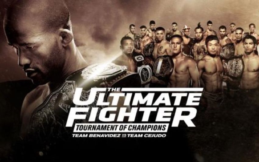 Рейтинг турнира The Ultimate Fighter: Tournament of Champions Finale 