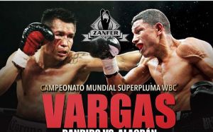 БК Fightnews.info. Тур 2. 28-29 января 2017