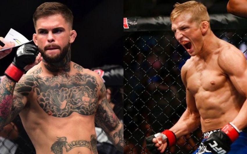  Коди Гарбрандт - Ти Джей Диллашоу на UFC 213
