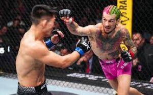 Шон О’Мэлли одержал непростую победу над Сонгом Ядонгом на UFC 324