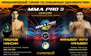 Прямая трансляция MMA Pro Ukraine 13