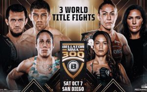 Результаты турнира Bellator 300