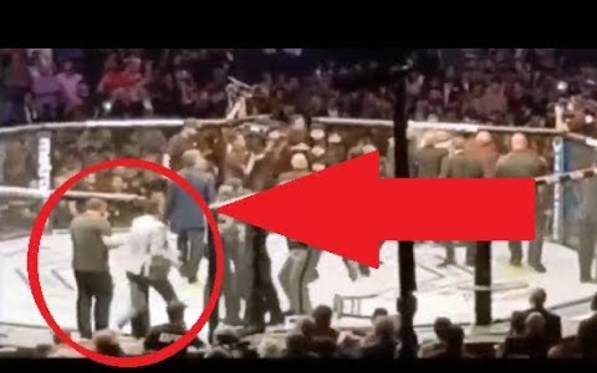 Фанат помогал разнимать бойцов во время драки на UFC 229: Нурмагомедов - Макгрегор
