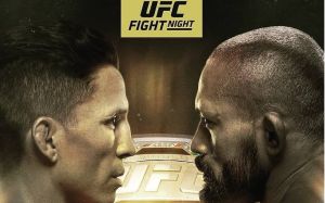 Файткард турнира UFC Fight Night 169: Джозеф Бенавидез - Дейвисон Фигейреду