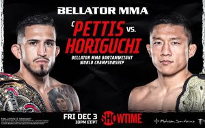 Результаты турнира Bellator 272
