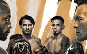 UFC 296. Смотреть онлайн прямой эфир