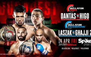 Прямая трансляция Bellator 177