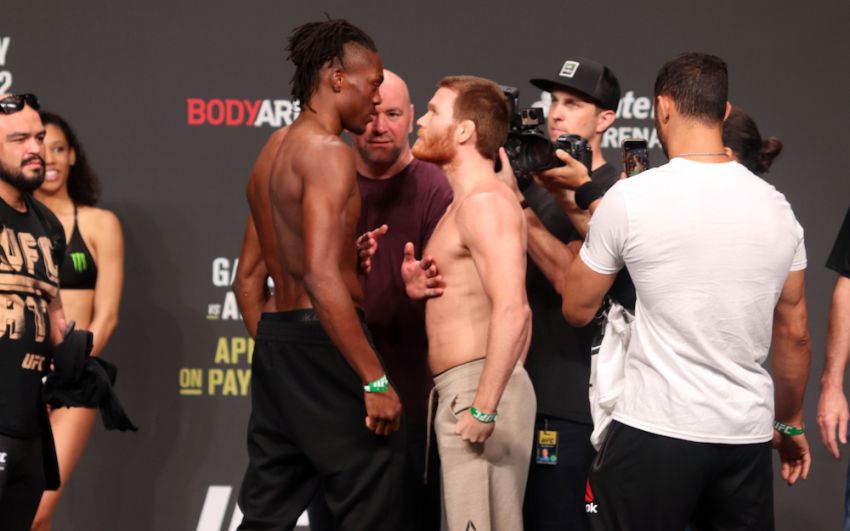 Видео боя Джалин Тернер - Мэтт Фревола UFC 236