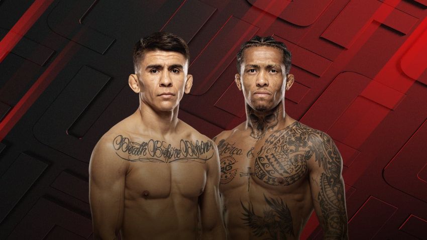 UFC Fight Night 266. Смотреть онлайн прямой эфир