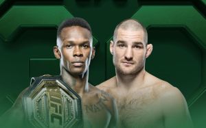 Прямая трансляция UFC 293