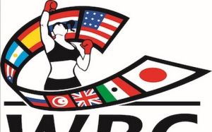 WBC выступил против реформ в женском боксе