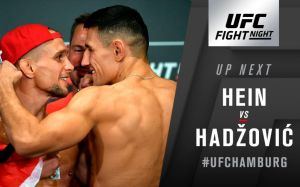 Видео боя Ник Хейн - Дамир Хадзович UFC Fight Night 134