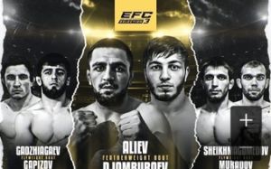 Прямая трансляция EFC: Selection 3