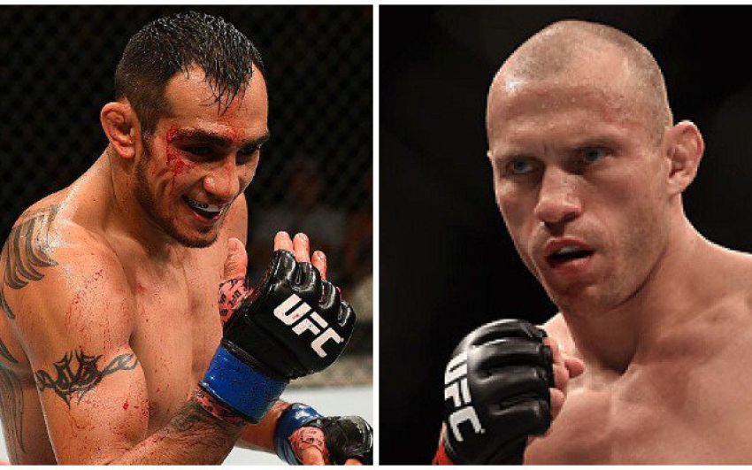 Дональд Серроне против Тони Фергюсона на UFC 238