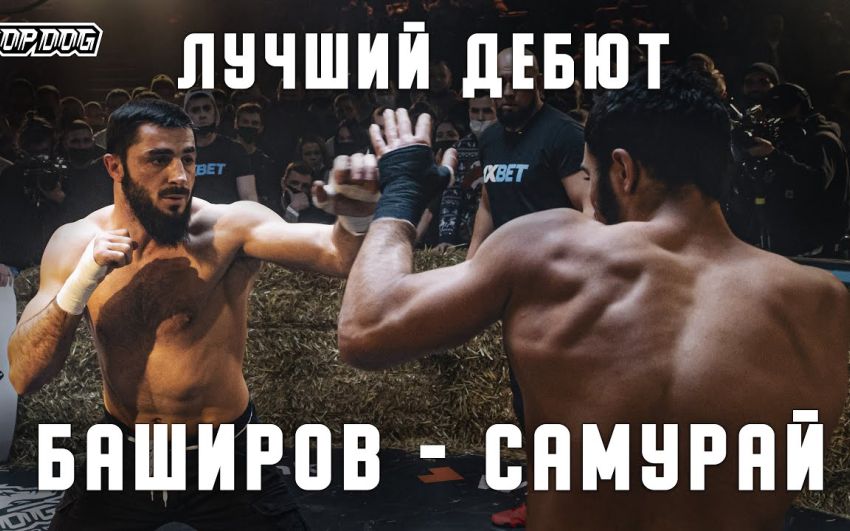 Видео боя Шамиль Баширов - Наим Давудов TDFC 7