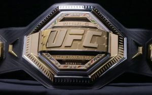 Рейтинг бойцов UFC за октябрь 2023 года