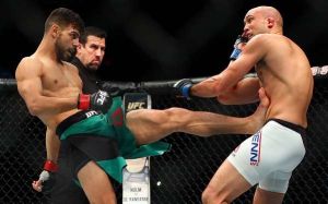 Медицинские отстранения после UFC Fight Night 103