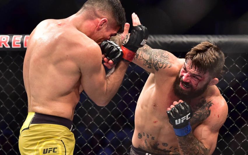 Бонусы турнира UFC Fight Night 156: Валентина Шевченко - Лиз Кармуш