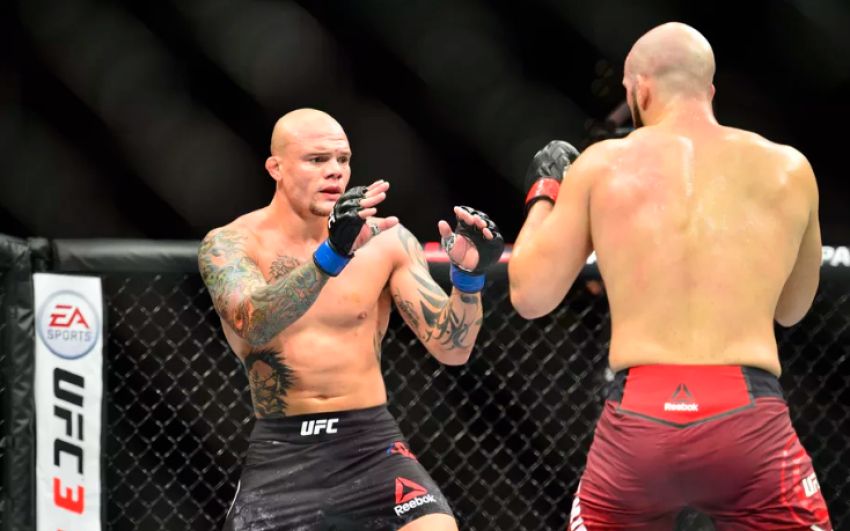 Бонусы турнира UFC Fight Night 138: Волкан Оздемир - Энтони Смит