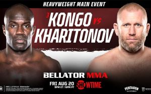 Файткард Bellator 265