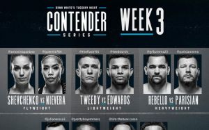Прямая трансляция Dana White’s Tuesday Night Contender Series: Антонина Шевченко - Джейми Ниевара