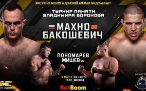 Прямая трансляция турнира AMC Fight Nights памяти Владимира Воронова