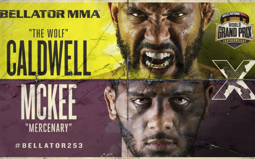 РП ММА №47 (BELLATOR 253): 20 ноября
