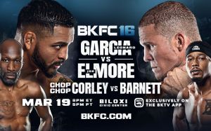 Прямая трансляция BKFC 16