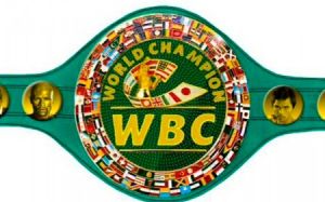 WBC: Боксеры обязаны вступить в анти-допинговую программу