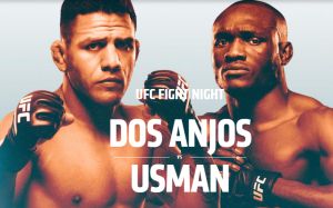 Файткард турнира The Ultimate Fighter 28 Finale: Дос Аньос - Усман