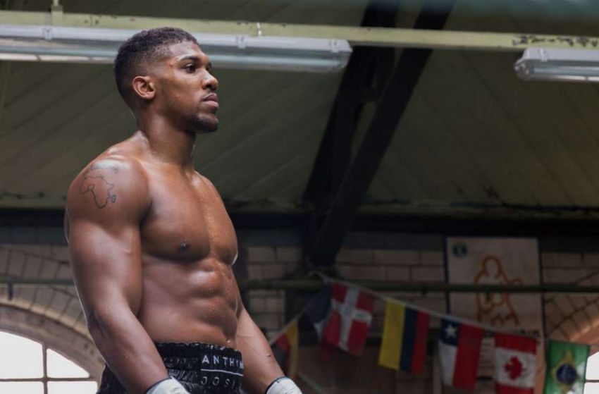 Джошуа: «Я размажу бойцов UFC, если захочу»