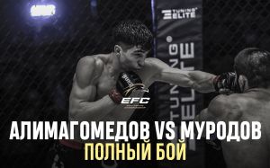 Видео боя Абдурахман Алимагомедов – Самандар Муродов EFC 34