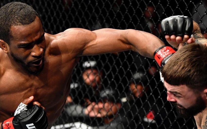 Джефф Нил досрочно остановил Майка Перри на UFC 245