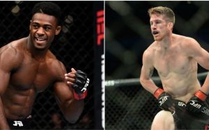 Алджамейн Стерлинг - Кори Сандхаген в разработке на UFC в Сан-Диего