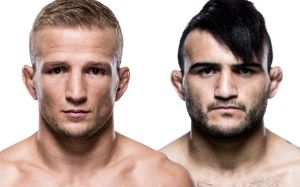 Видео боя Ти Джей Диллашоу - Джон Линекер UFC 207