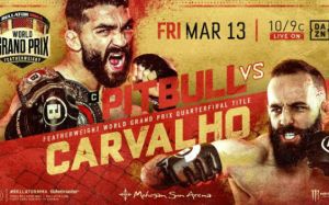 РП ММА №45 (BELLATOR 252): 13 ноября