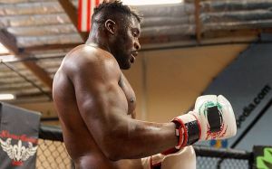 Фрэнсис Нганну отреагировал на перенос турнира UFC on ESPN 8 в Лас-Вегас