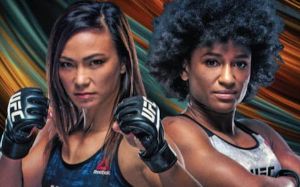 Прямая трансляция UFC on ESPN+ 35: Мишель Уотерсон – Анджела Хилл