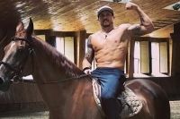 Усик обратился к Фьюри верхом на коне: "Я тебя оседлаю так же!"