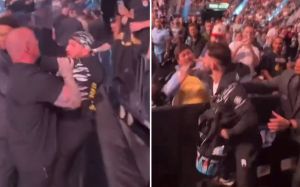 Видео: Мераб Двалишвили подрался с фанатом на UFC 310