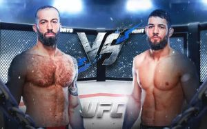 UFC Fight Night 235. Смотреть онлайн прямой эфир