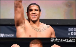 Луис Энрике - Марчин Тыбура на UFC 208, 11 февраля
