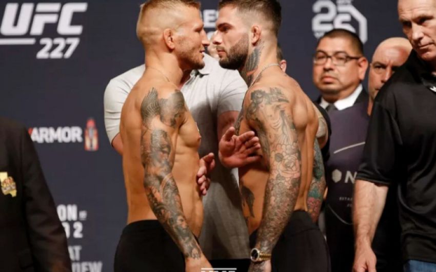 Турнир UFC 227 собрал около 300 000 покупок PPV