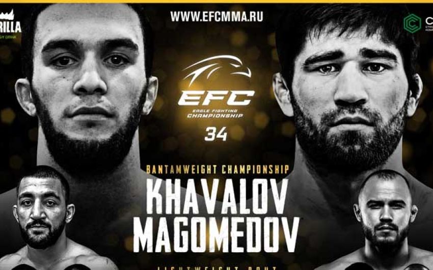 Видео боя Ренат Хавалов – Шарапудин Магомедов EFC 34