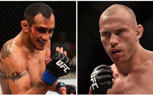 Дональд Серроне против Тони Фергюсона на UFC 238