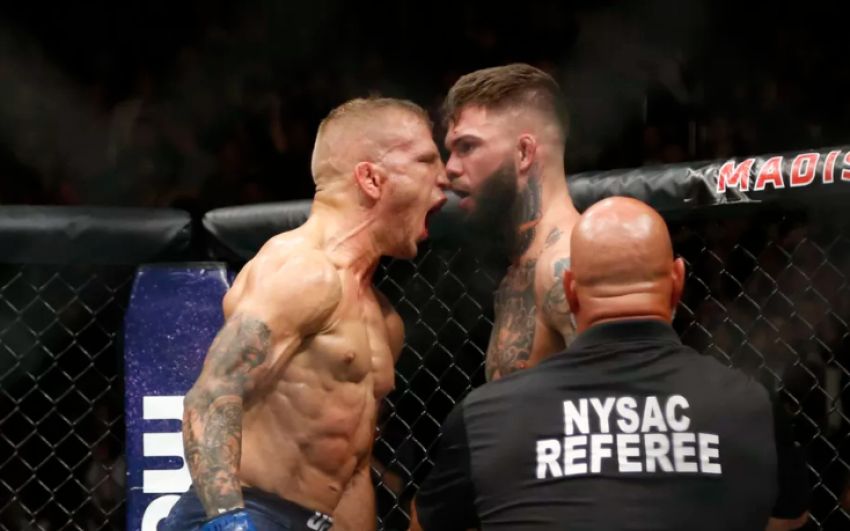 Файткард турнира UFC 227: Ти Джей Диллашоу - Коди Гарбрандт