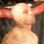 Gilmar Silveira Pereira Jr. (Hitman)