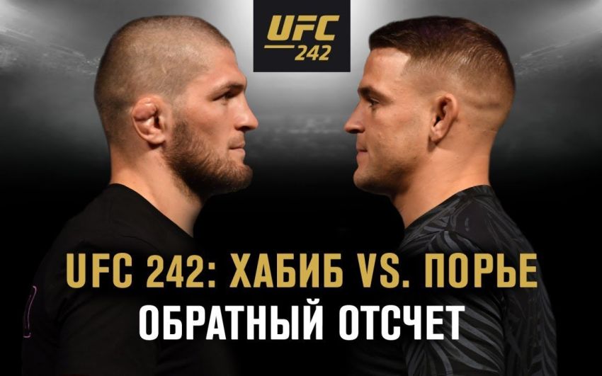 UFC 242: Обратный отсчет