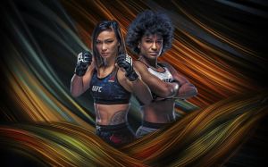 Где смотреть UFC Fight Night 177: Мишель Уотерсон - Анджела Хилл